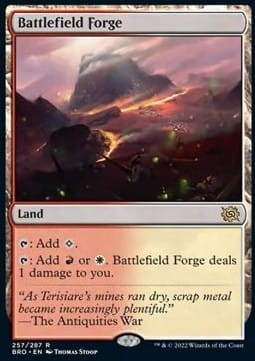 12692.jpg
