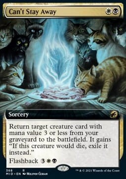 570646.jpg