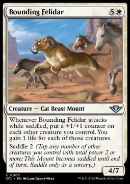 Bounding Felidar (OTJ).jpg