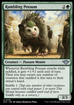 Rambling Possum (OTJ).jpg
