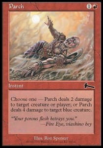 parch.jpg
