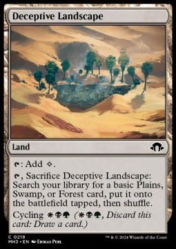 Deceptive Landscape (MH3).jpg
