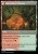 Stump Stomp 2 (MH3).jpg