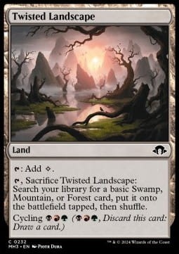 Twisted Landscape (MH3).jpg