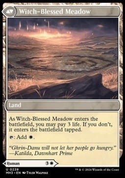 Witch Enchanter 2.jpg