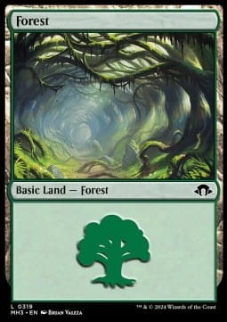 forest v3.jpg
