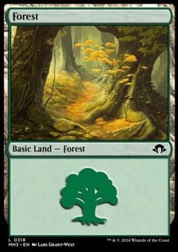 forest v2.jpg
