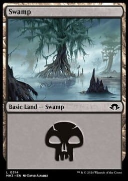 Swamp V2.jpg