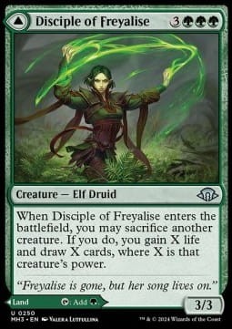 Disciple of Freyalise (MH3).jpg