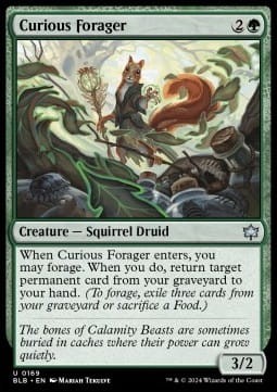 Curious Forager.jpg