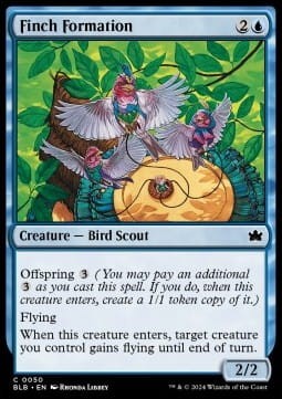 Finch Formation.jpg