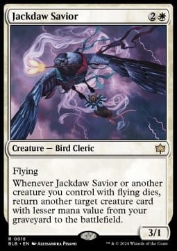 Jackdaw Savior.jpg