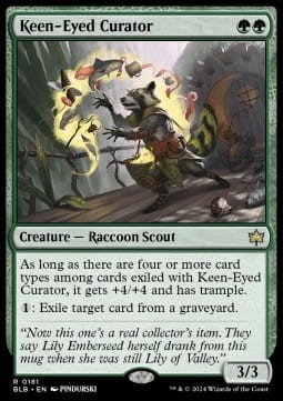 Keen-Eyed Curator.jpg