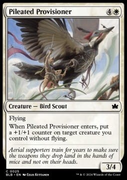 Pileated Provisioner.jpg