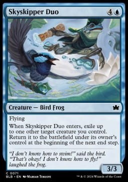 Skyskipper Duo.jpg