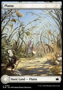 Plains 262 (V.1).jpg