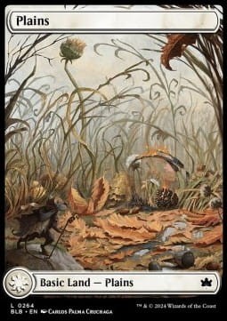 Plains 264 (V.3).jpg