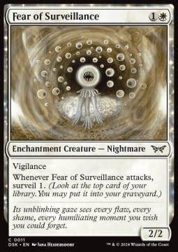 Fear of Surveillance (.jpg