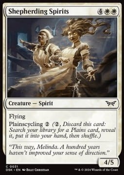 Shepherding Spirits.jpg