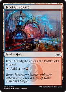IzzetGuildgate251.jpg