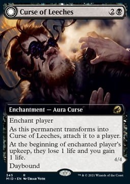Curse of leeches 1.jpg