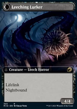 Curse of leeches 2.jpg