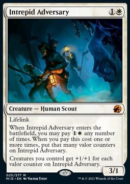 Intrepid Adversary.jpg