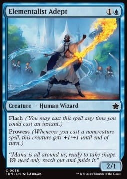 Elementalist Adept.jpg