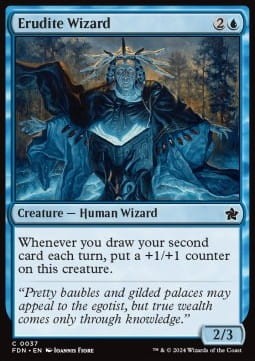 Erudite Wizard.jpg