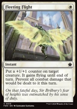 Fleeting Flight.jpg