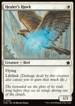 Healer's Hawk.jpg