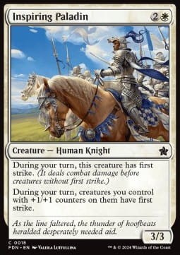 Inspiring Paladin.jpg