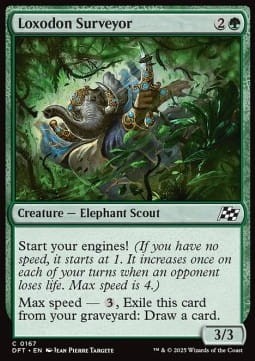 Loxodon Surveyor.jpg