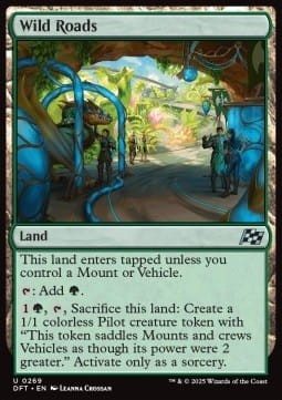 Wild Roads.jpg