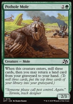 Pothole Mole.jpg
