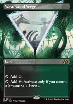 807304.jpg