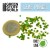 miniature-leaf-punch-light-blue-3.jpg