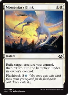 MomentaryBlink.jpg