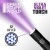 ultraviolet-torch (1).jpg