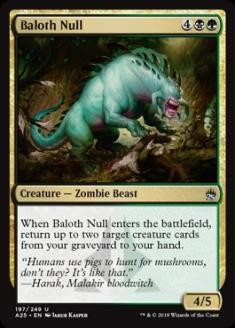 BalothNull.jpg