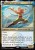 Aang, Swift Savior 1.jpg