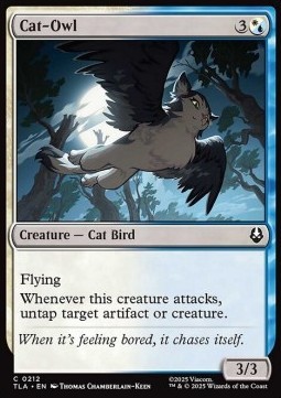 Cat-Owl.jpg