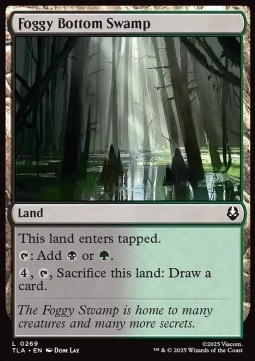 Foggy Bottom Swamp.jpg