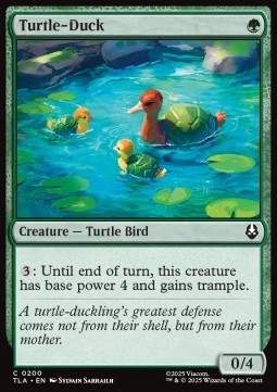 Turtle-Duck.jpg