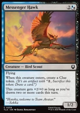 Messenger Hawk.jpg