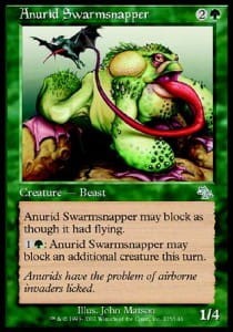 anurid_swarmsnapper.jpg