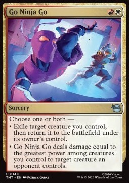 Go Ninja Go.jpg