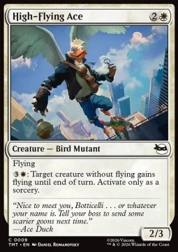 High-Flying Ace.jpg