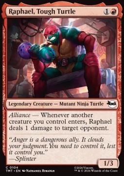 Raphael, Tough Turtle.jpg