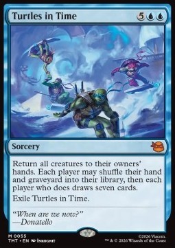 Turtles in Time.jpg